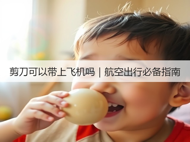 剪刀可以带上飞机吗｜航空出行必备指南(图3)