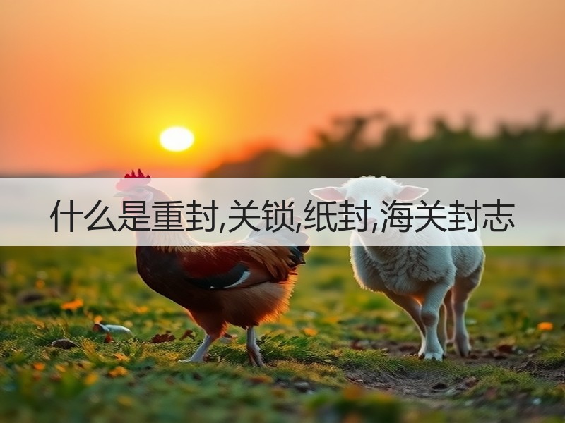什么是重封,关锁,纸封,海关封志