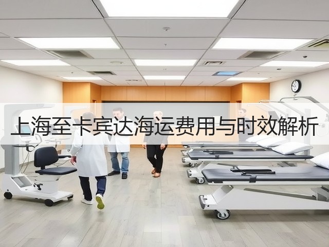 上海至卡宾达海运费用与时效解析(图2) 上海至卡宾达海运费用与时效解析(图2)