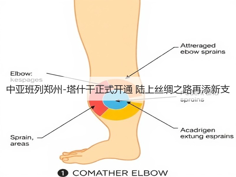 中亚班列郑州-塔什干正式开通 陆上丝绸之路再添新支