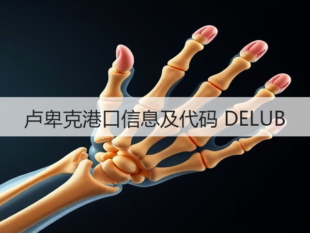 卢卑克港口信息及代码 DELUB(图1)