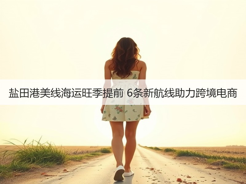盐田港美线海运旺季提前 6条新航线助力跨境电商 盐田港美线海运旺季提前 6条新航线助力跨境电商