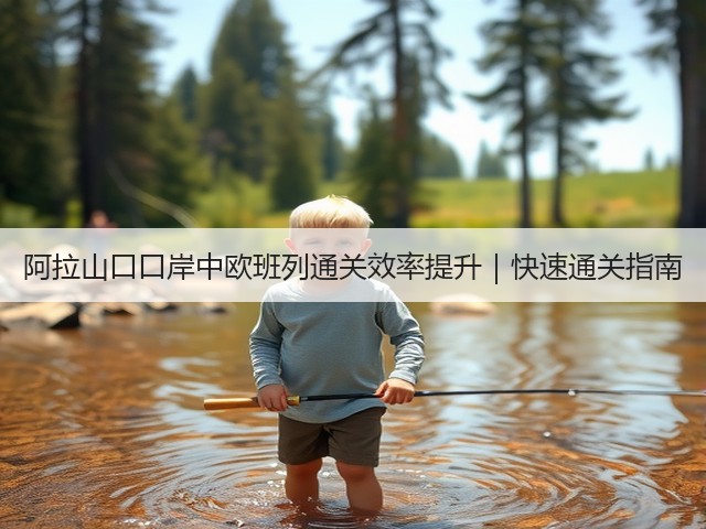 阿拉山口口岸中欧班列通关效率提升|快速通关指南(图1) 阿拉山口口岸中欧班列通关效率提升|快速通关指南(图1)