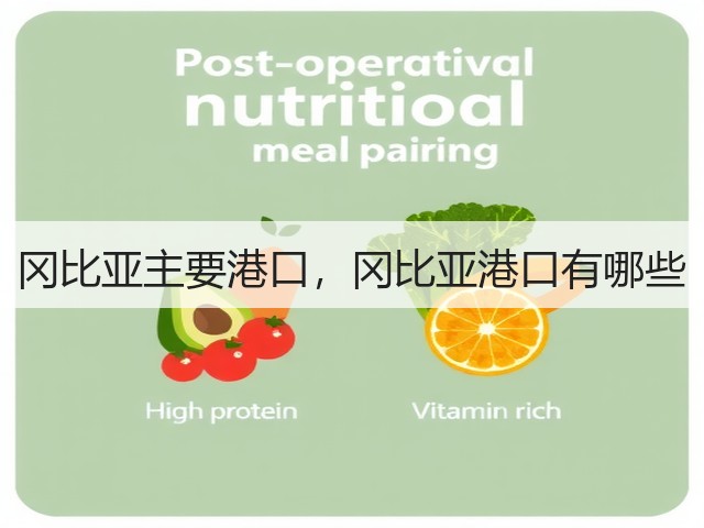 冈比亚主要港口,冈比亚港口有哪些(图3) 冈比亚主要港口,冈比亚港口有哪些(图3)