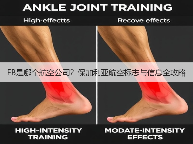 FB是哪个航空公司？保加利亚航空标志与信息全攻略