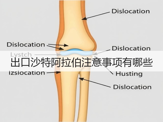 出口沙特阿拉伯注意事项有哪些(图2)
