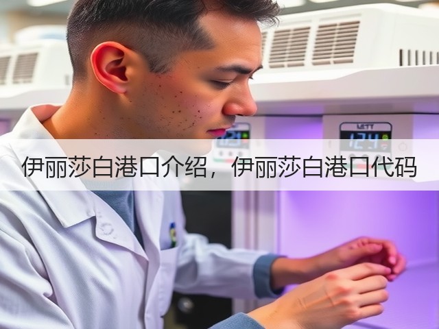 伊丽莎白港口介绍,伊丽莎白港口代码(图3) 伊丽莎白港口介绍,伊丽莎白港口代码(图3)