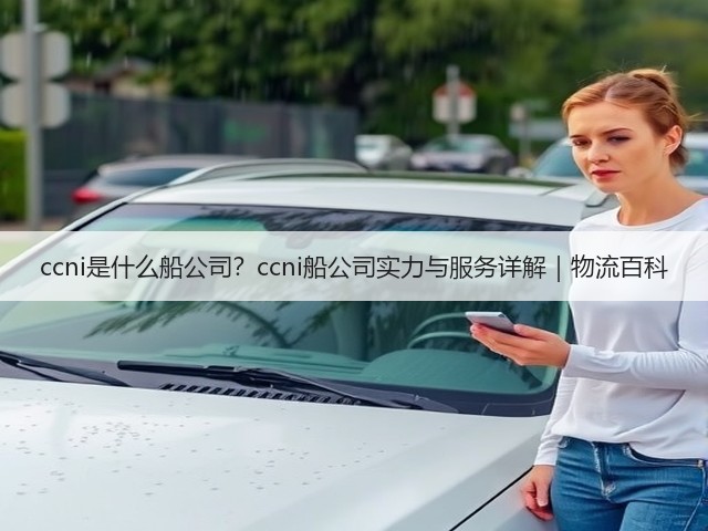 ccni是什么船公司？ccni船公司实力与服务详解｜物流百科(图3)