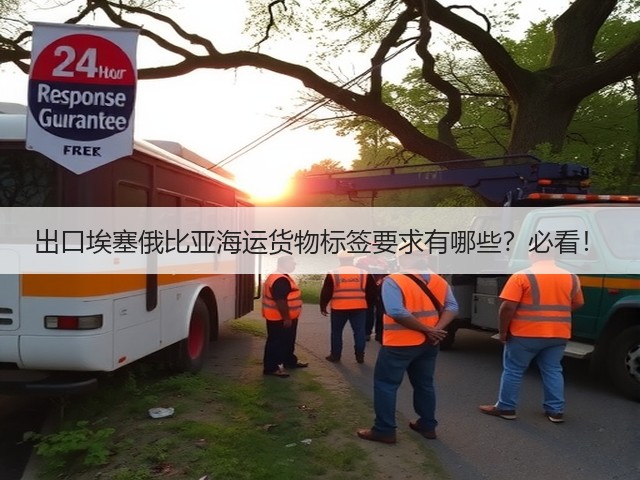 出口埃塞俄比亚海运货物标签要求有哪些？必看！(图3)