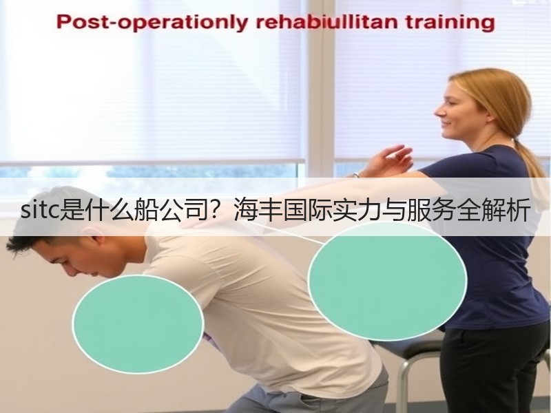 sitc是什么船公司？海丰国际实力与服务全解析