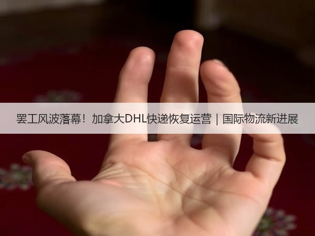 罢工风波落幕!加拿大DHL快递恢复运营|国际物流新进展(图3) 罢工风波落幕!加拿大DHL快递恢复运营|国际物流新进展(图3)