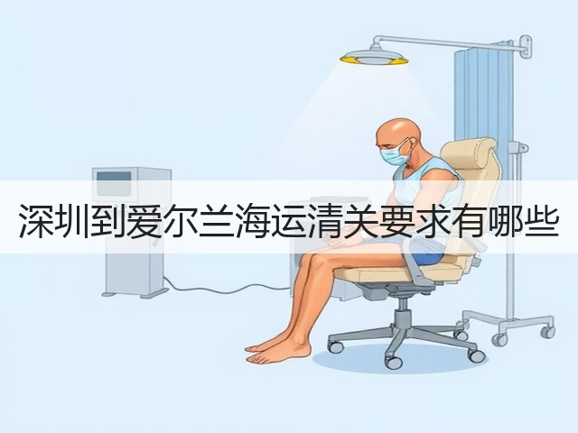 深圳到爱尔兰海运清关要求有哪些(图2) 深圳到爱尔兰海运清关要求有哪些(图2)