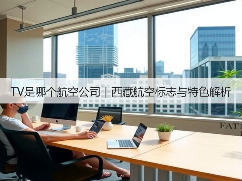 TV是哪个航空公司｜西藏航空标志与特色解析