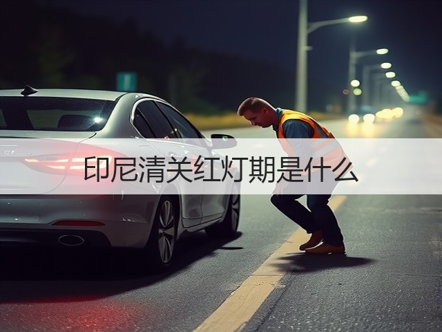 印尼清关红灯期是什么(图3)
