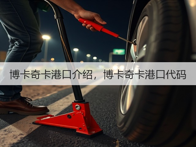 博卡奇卡港口介绍,博卡奇卡港口代码(图3) 博卡奇卡港口介绍,博卡奇卡港口代码(图3)