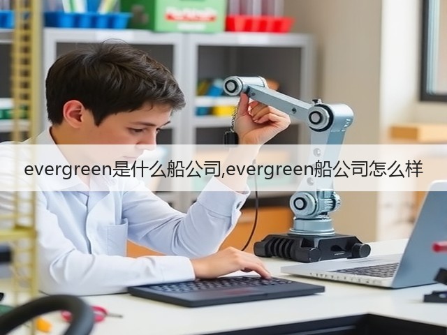 evergreen是什么船公司,evergreen船公司怎么样(图1)