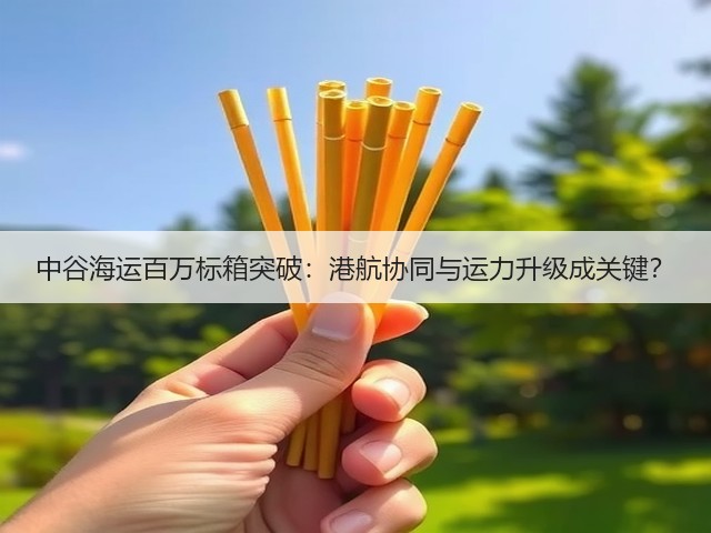 中谷海运百万标箱突破：港航协同与运力升级成关键？(图2)