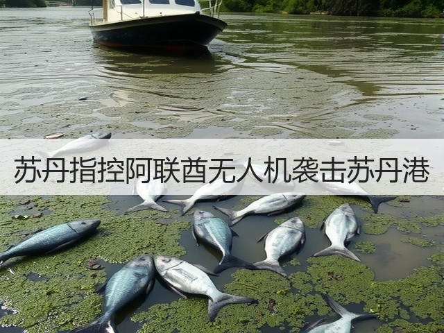 苏丹指控阿联酋无人机袭击苏丹港(图3)