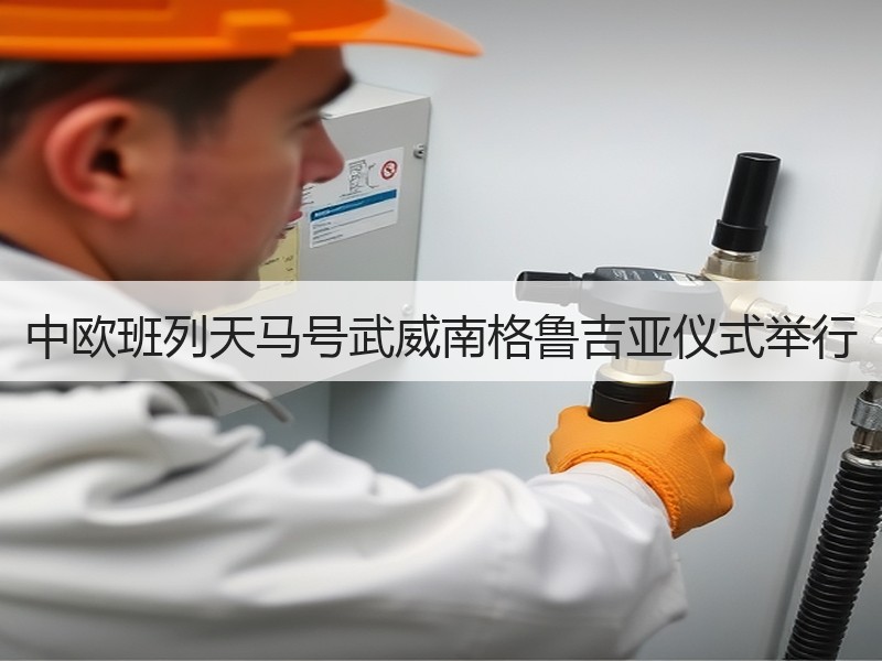 中欧班列天马号武威南格鲁吉亚仪式举行