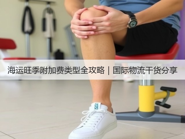 海运旺季附加费类型全攻略｜国际物流干货分享(图1)