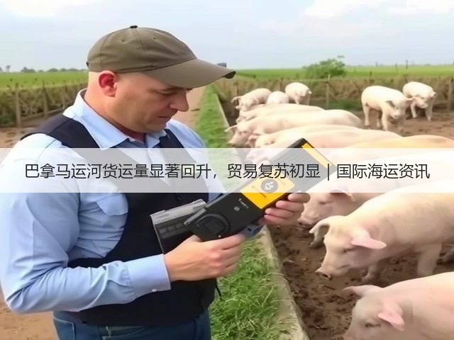 巴拿马运河货运量显著回升，贸易复苏初显｜国际海运资讯(图2)