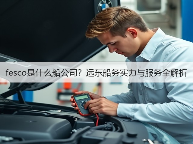 fesco是什么船公司？远东船务实力与服务全解析(图3)