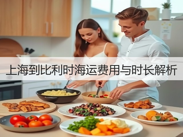 上海到比利时海运费用与时长解析(图3)