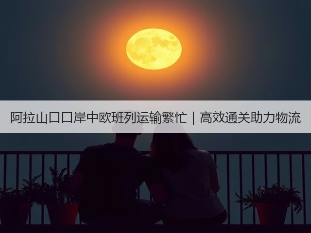 阿拉山口口岸中欧班列运输繁忙｜高效通关助力物流(图1)