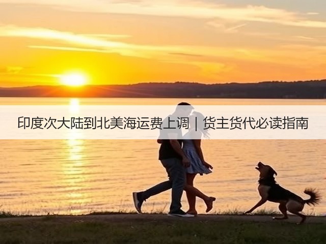 印度次大陆到北美海运费上调｜货主货代必读指南(图1)