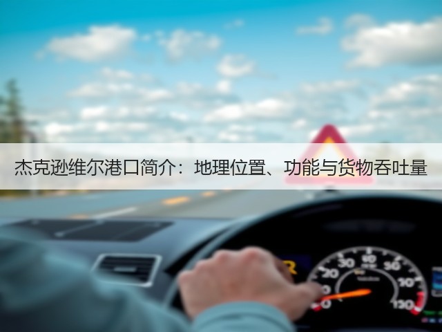 杰克逊维尔港口简介：地理位置、功能与货物吞吐量(图2)