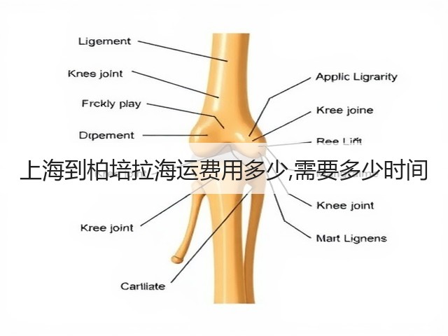 上海到柏培拉海运费用多少,需要多少时间(图3) 上海到柏培拉海运费用多少,需要多少时间(图3)