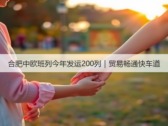 合肥中欧班列今年发运200列｜贸易畅通快车道(图3)