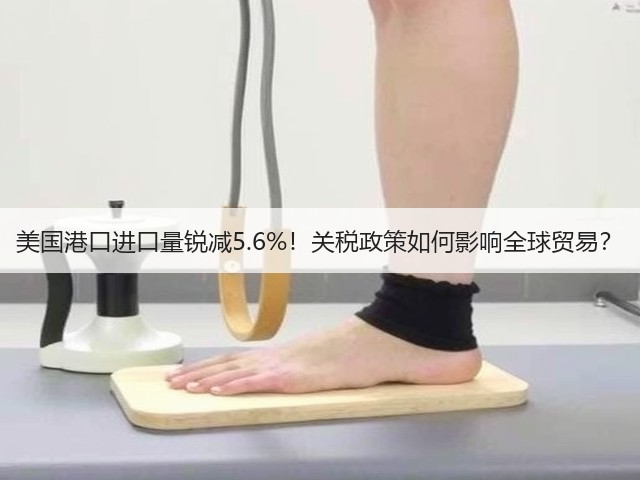 美国港口进口量锐减5.6%!关税政策如何影响全球贸易?(图3) 美国港口进口量锐减5.6%!关税政策如何影响全球贸易?(图3)