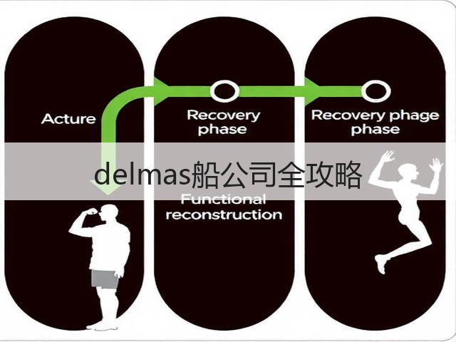 delmas船公司全攻略(图2)