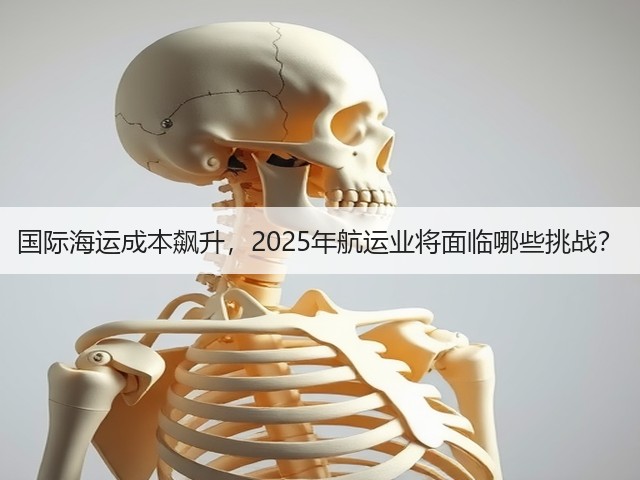 国际海运成本飙升，2025年航运业将面临哪些挑战？(图2)