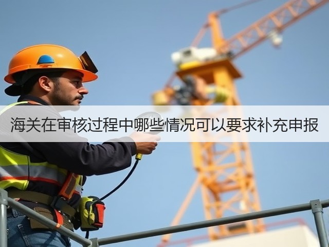 海关在审核过程中哪些情况可以要求补充申报(图3)
