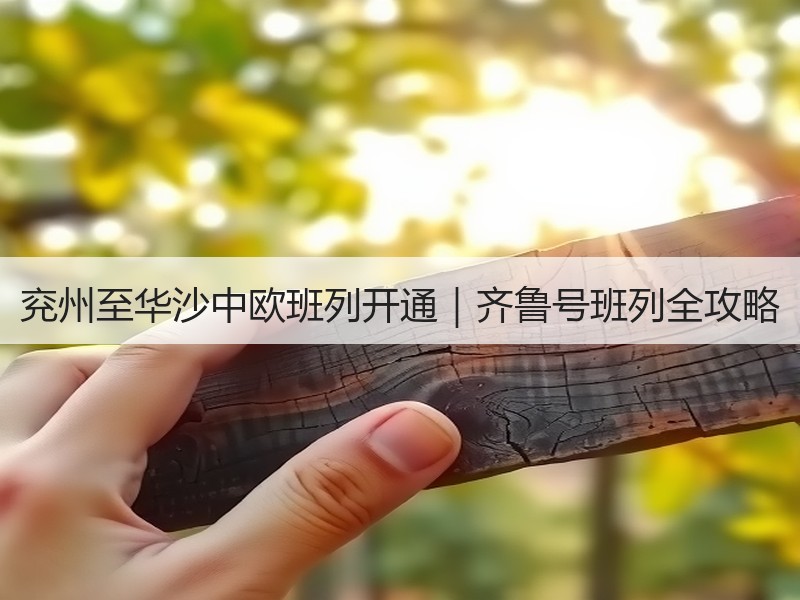 兖州至华沙中欧班列开通｜齐鲁号班列全攻略