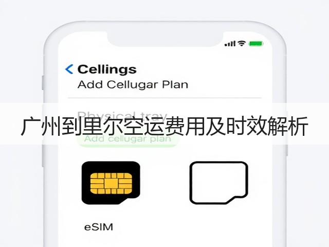 广州到里尔空运费用及时效解析(图1)