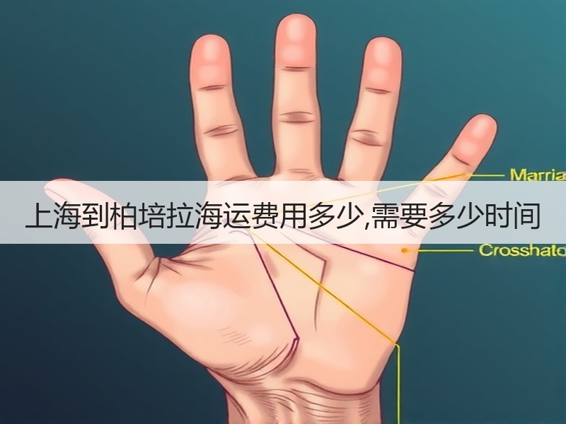 上海到柏培拉海运费用多少,需要多少时间