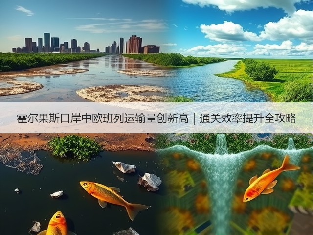 霍尔果斯口岸中欧班列运输量创新高｜通关效率提升全攻略(图3)
