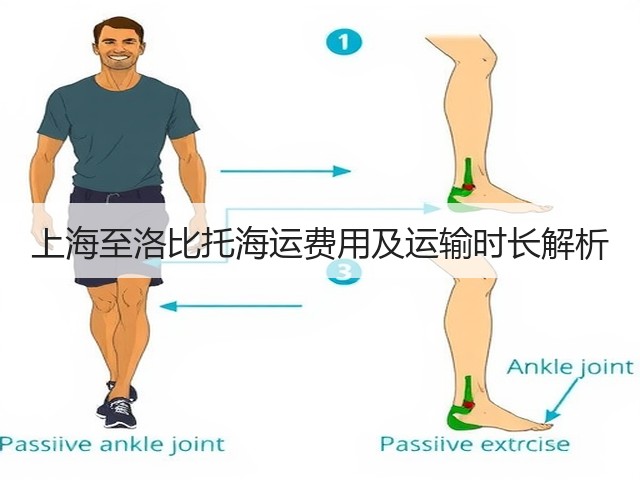 上海至洛比托海运费用及运输时长解析(图3) 上海至洛比托海运费用及运输时长解析(图3)