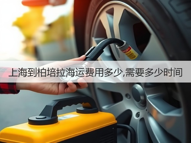 上海到柏培拉海运费用多少,需要多少时间(图2) 上海到柏培拉海运费用多少,需要多少时间(图2)