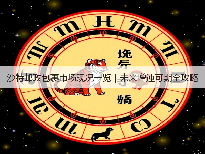 沙特邮政包裹市场现况一览｜未来增速可期全攻略