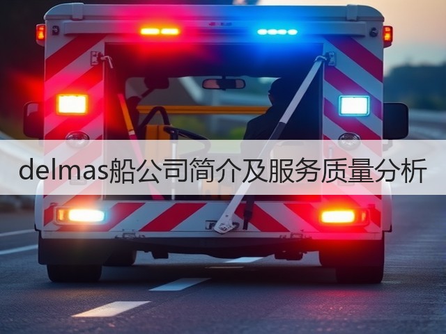delmas船公司简介及服务质量分析(图1)