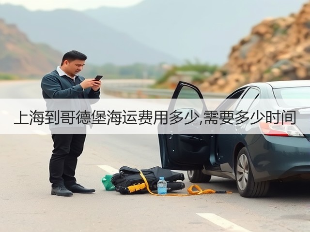 上海到哥德堡海运费用多少,需要多少时间(图3)