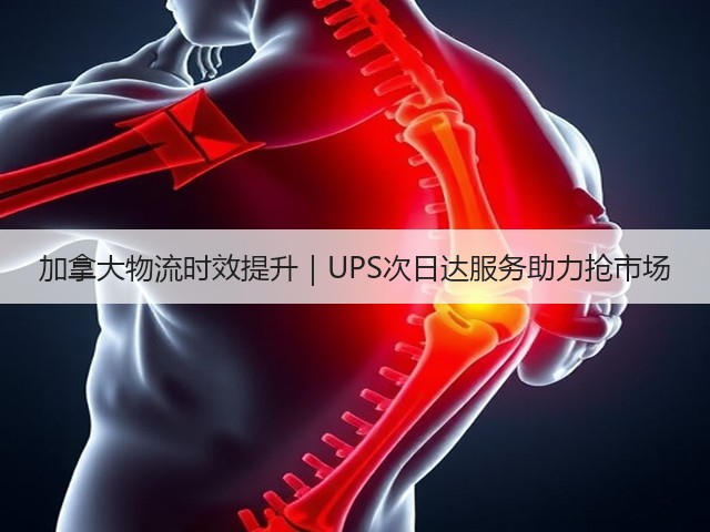 加拿大物流时效提升｜UPS次日达服务助力抢市场(图1)
