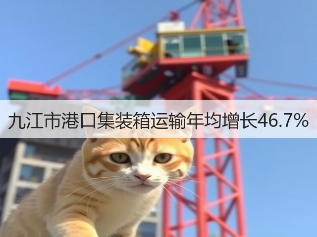 九江市港口集装箱运输年均增长46.7%(图3)
