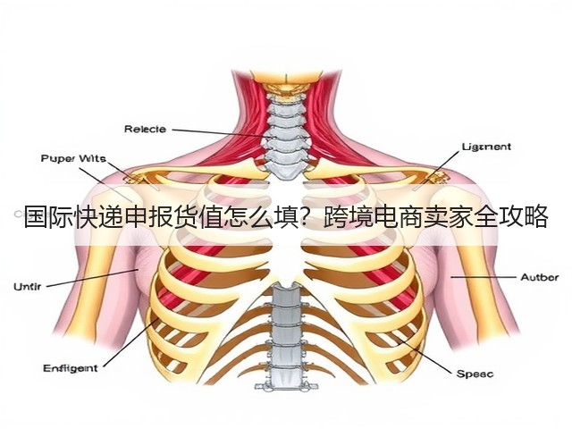国际快递申报货值怎么填？跨境电商卖家全攻略(图2)