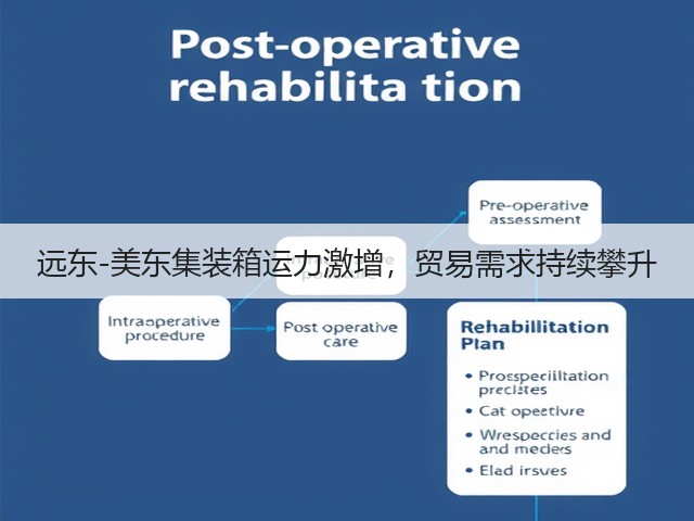 远东-美东集装箱运力激增，贸易需求持续攀升(图3)