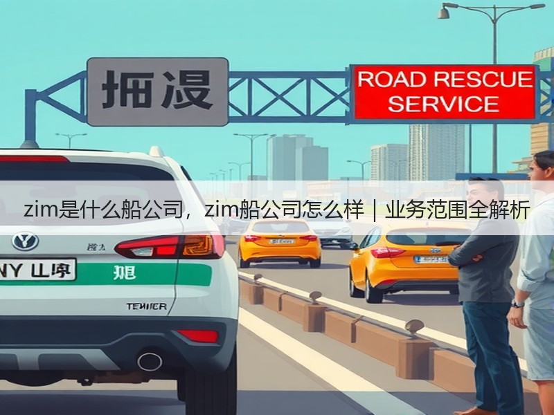 zim是什么船公司，zim船公司怎么样｜业务范围全解析